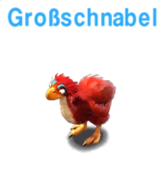 Grossschnabel     